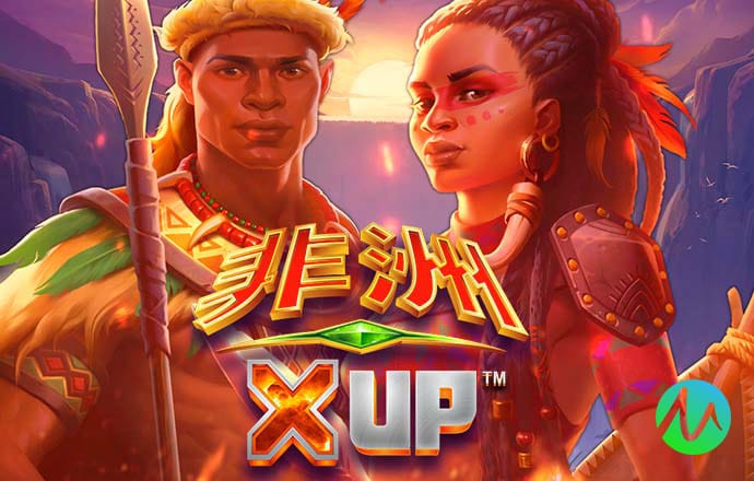 龙珠体育app